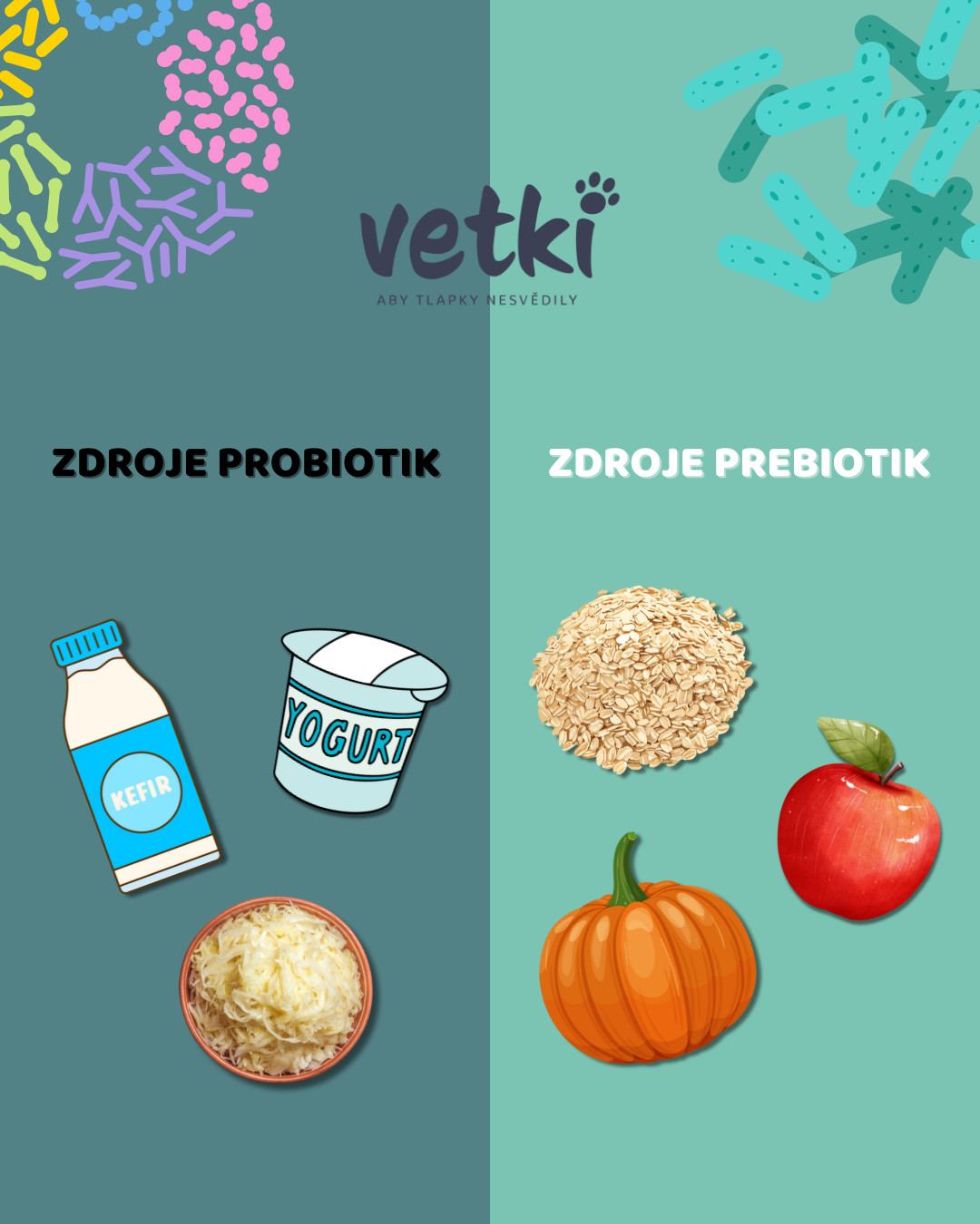 Příspěvky vetki